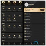 mmexport1679920883250.webp