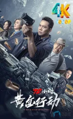 72小时-黄金行动a.webp 72小时-黄金行动a.webp