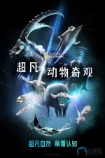 超凡动物奇观2.webp 超凡动物奇观2.webp