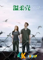 温柔壳a.webp 温柔壳a.webp