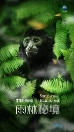 中国海南·雨林秘境1a.webp 中国海南·雨林秘境1a.webp