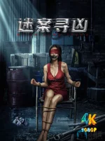 迷案寻凶1aa.webp