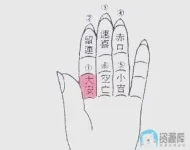 5.webp 5.webp