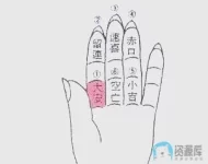 5.webp