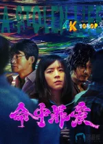 命中罪爱a.webp