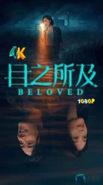 目之所及1aa.webp