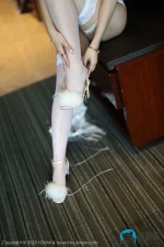 0041 (2).webp
