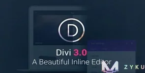 Divi-v3.0.24-–-Elegant-Themes-WordPress-Theme.webp