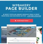 intro.webp