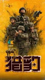 猎豹1aa.jpg 猎豹1aa.jpg